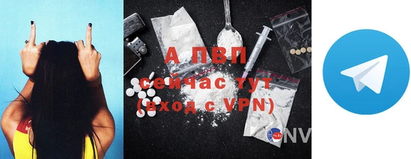 прущие крисы Новозыбков