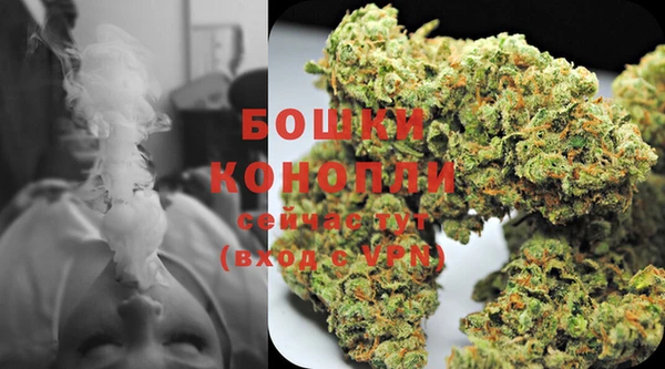 ГАЛЛЮЦИНОГЕННЫЕ ГРИБЫ Нягань